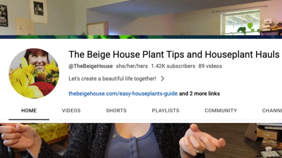 2023 Recap: Discover beige houseplant tips and houseplant hauls, while looking forward to 2024 goals.